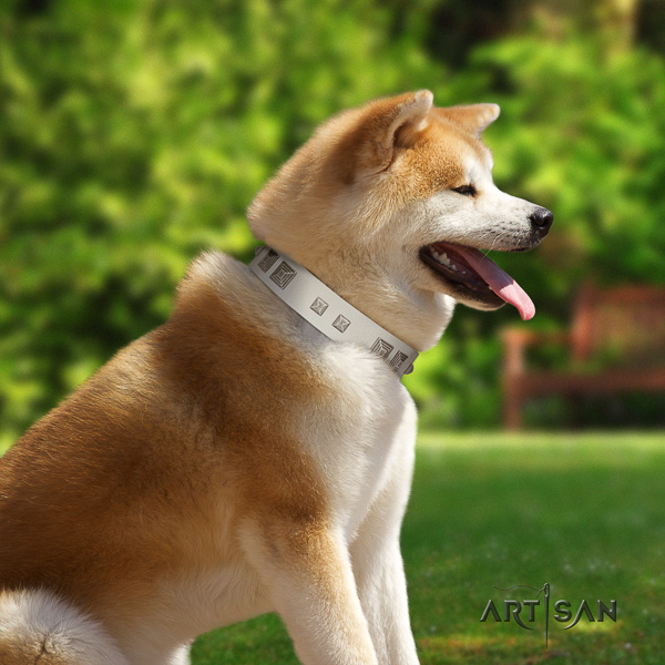 Akita Inu everyday walking natural leather collar with embellishments for your doggie