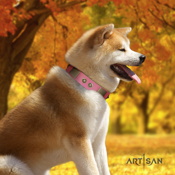 Akita Inu walking genuine leather collar with embellishments for your canine