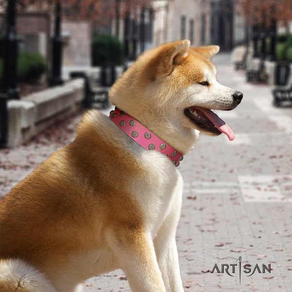 Akita Inu handy use full grain genuine leather collar with embellishments for your dog