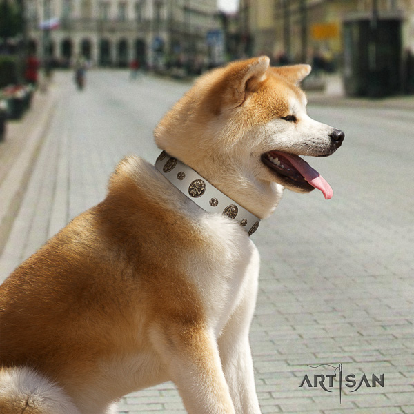 Akita Inu comfy wearing full grain genuine leather collar with adornments for your four-legged friend
