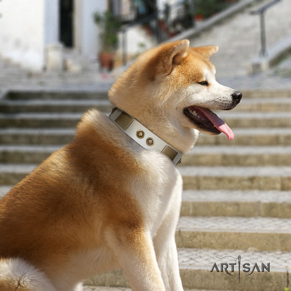 Akita Inu daily use leather collar with decorations for your canine