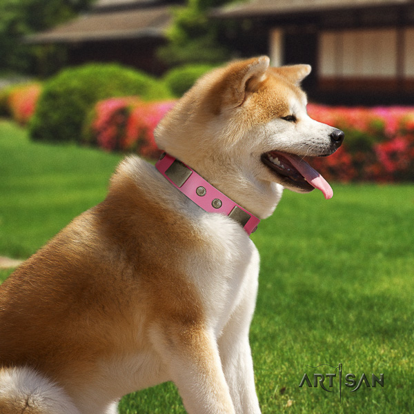 Akita Inu comfortable wearing full grain genuine leather collar with adornments for your four-legged friend