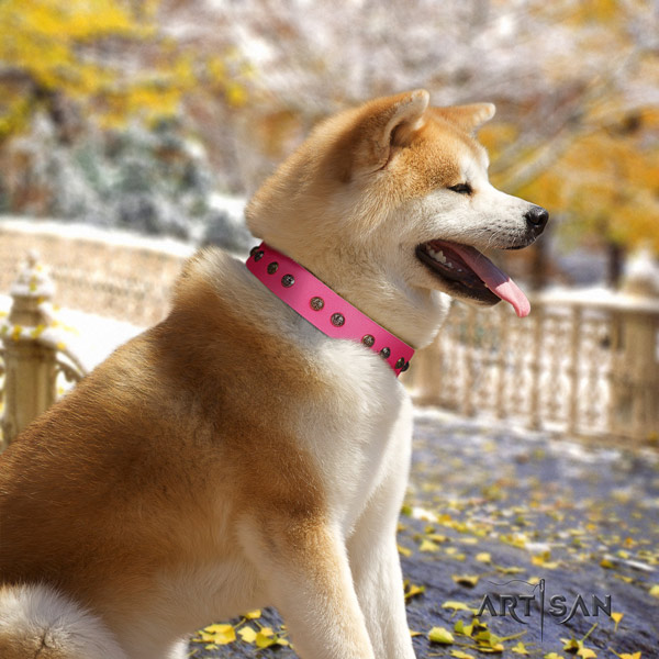 Akita Inu leather dog collar with unique decorations