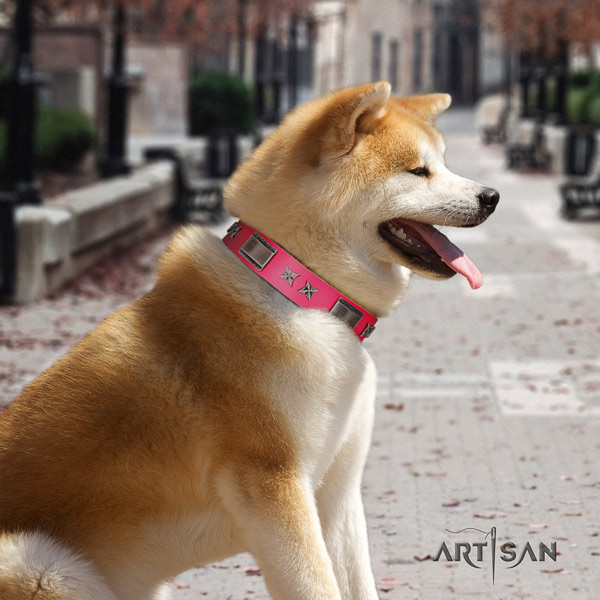 Akita Inu studded leather dog collar with trendy adornments
