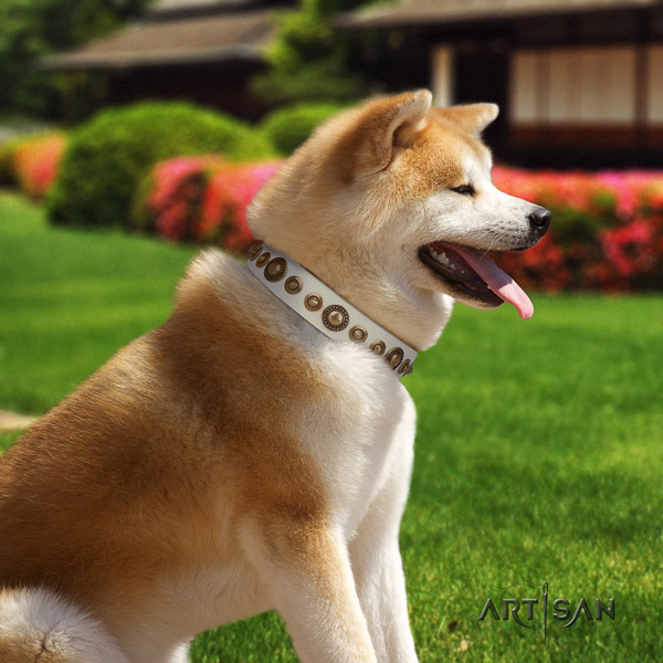 Akita Inu genuine leather dog collar with amazing embellishments