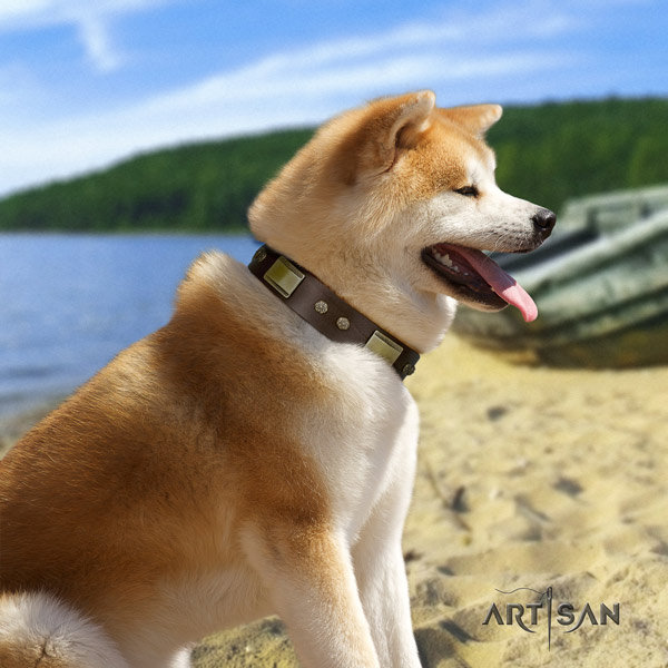 Akita Inu leather dog collar with significant decorations