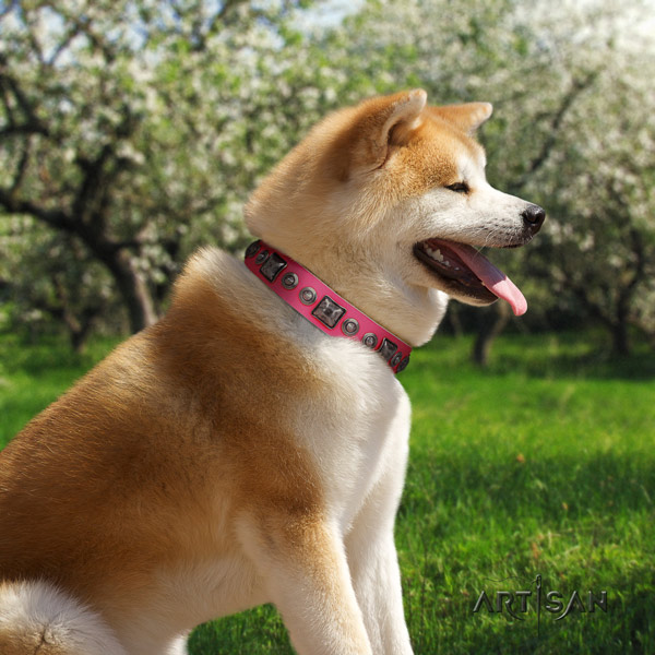 Akita Inu leather dog collar with exquisite decorations