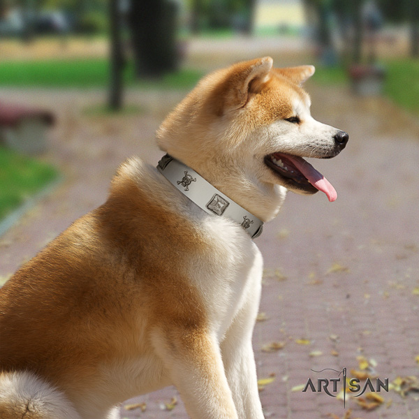 Akita Inu everyday walking full grain natural leather collar with studs for your doggie