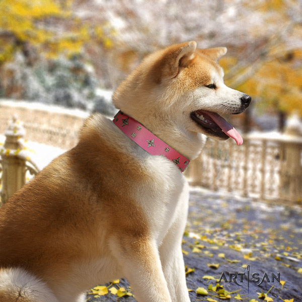 Akita Inu fancy walking leather collar with decorations for your doggie