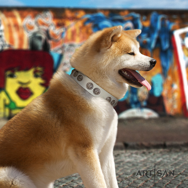 Akita Inu basic training leather collar with adornments for your pet