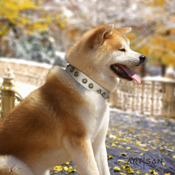 Akita Inu walking leather collar with adornments for your pet