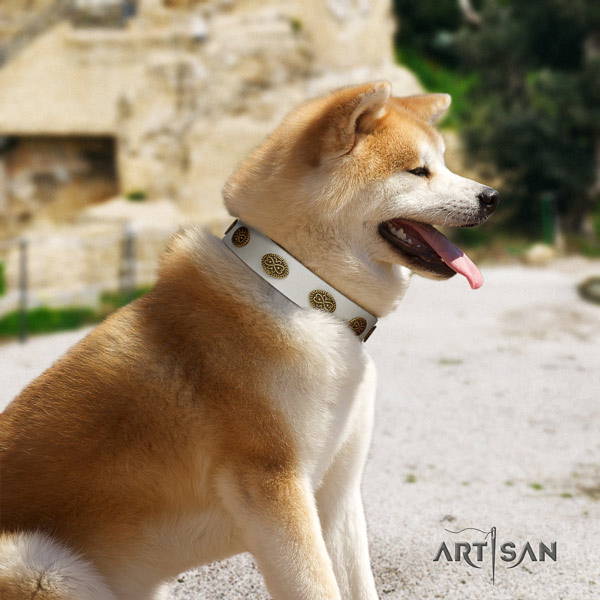 Akita Inu leather dog collar with amazing adornments
