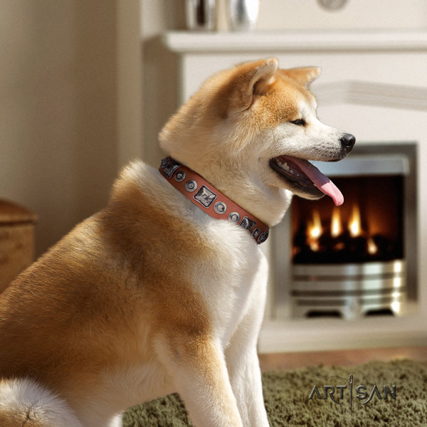 Akita Inu genuine leather dog collar with stunning decorations