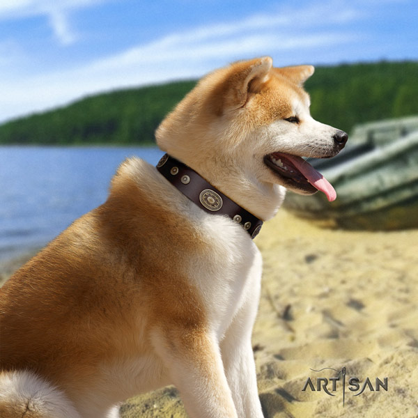 Akita Inu stunning genuine leather collar for comfy wearing