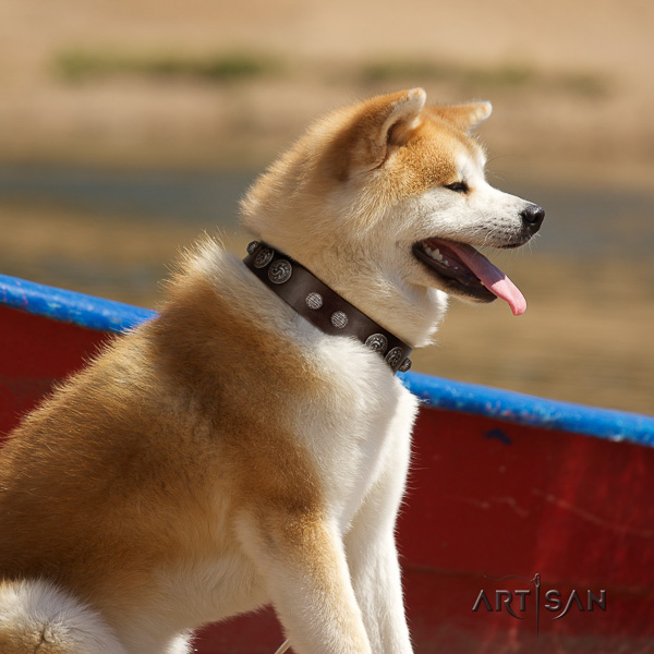 Akita Inu handy use genuine leather collar with embellishments for your dog