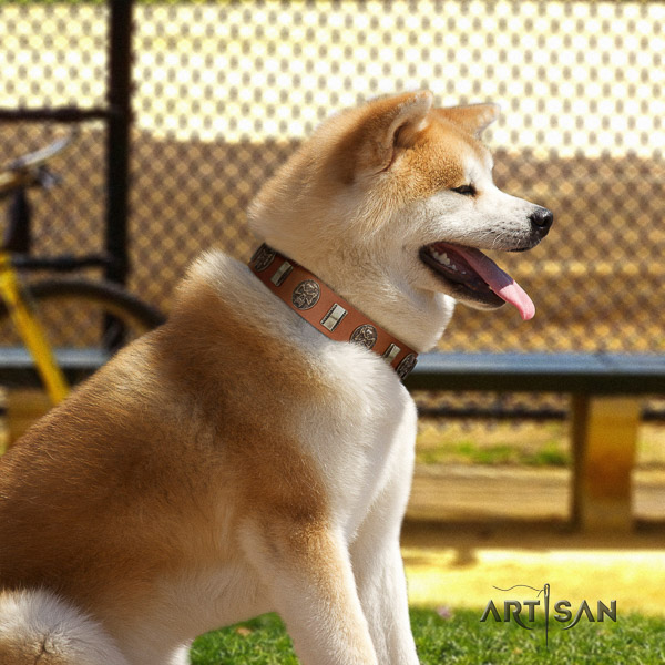 Akita Inu walking full grain natural leather collar with studs for your pet