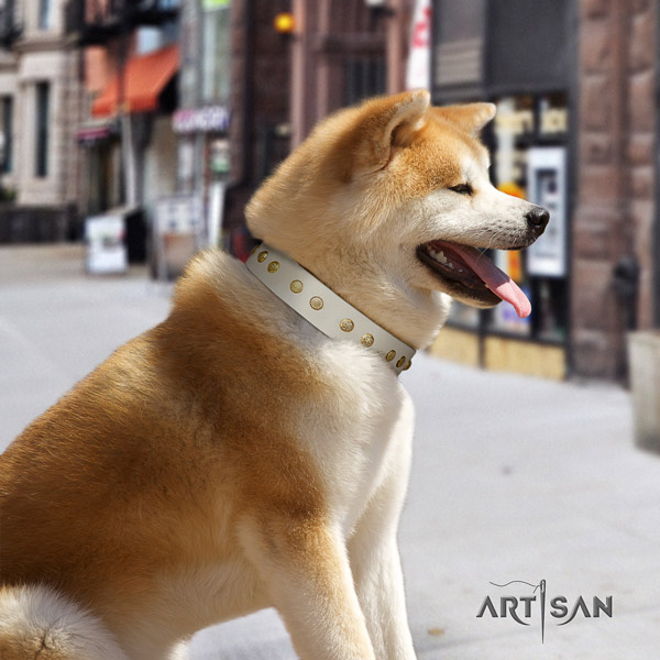 Akita Inu full grain leather dog collar with fashionable studs