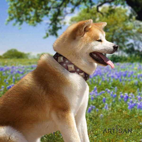 Akita Inu leather dog collar with unique embellishments