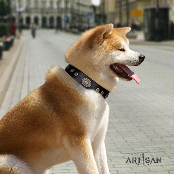 Akita Inu stylish full grain leather collar for stylish walking
