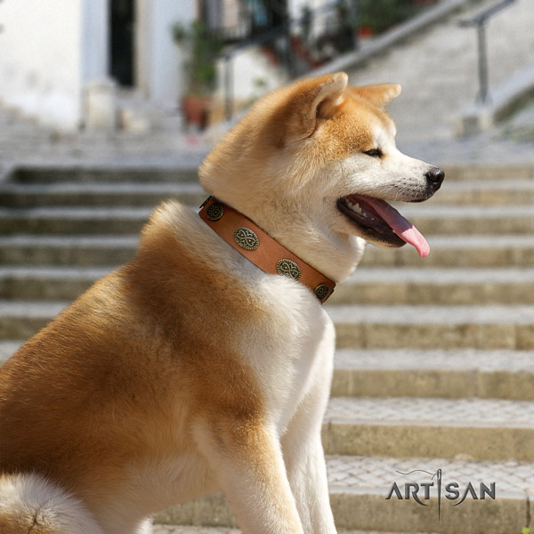 Akita Inu leather dog collar with designer studs
