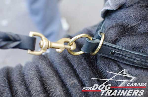 Brass O-rings on Durable Leather Choke Dog Collar