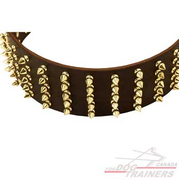 Brass spikes for leather collar