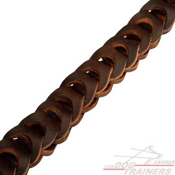 Stylish Brown Choke Collar Braid