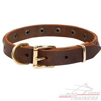 Leather Dog Collar Decorated for Fashion Walking