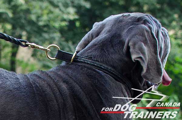 Choke Dog Collar Leather with Handmade Braids
