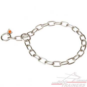 Fur Saver Choke Chain for Behavior Correction