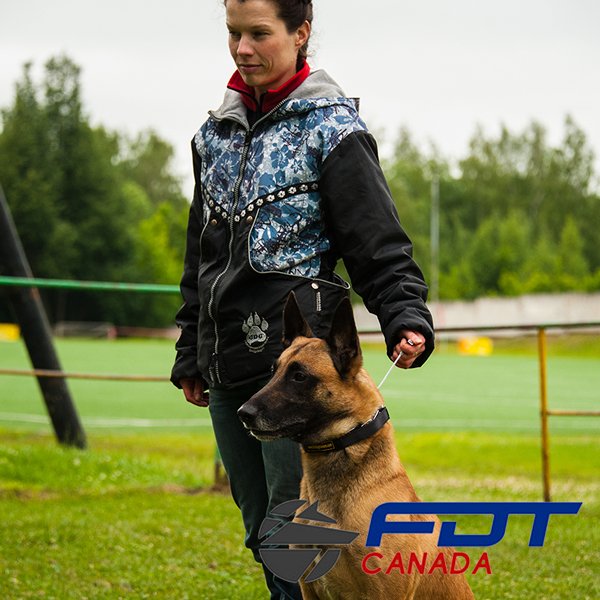Chrome Plated Steel Dog Pinch Collar