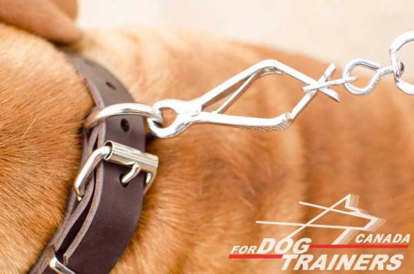Leather Collar of Classic Design