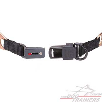 Pinch Collar Herm Sprenger with Click Lock System Adjustable