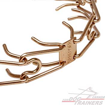 Prongs Made of Curogan on Dog Pinch Collar