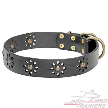 Dog Collar with Flower Design