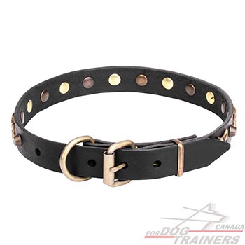 Leather Collar with Bronze-plated Hardware
