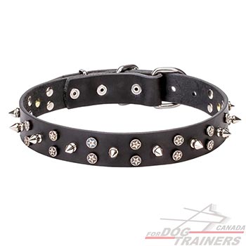 Adorned leather dog collar