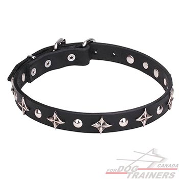 Leather Dog Collar with Chrome Plated Decorations