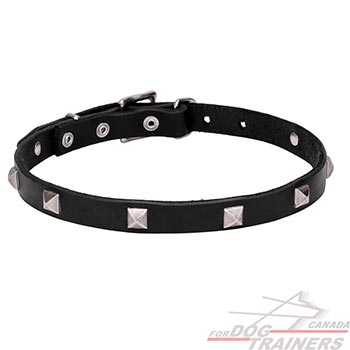 Natural leather dog collar with studs