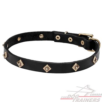 Natural leather dog collar with studs