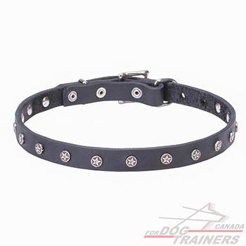 Leather Dog Collar with Nickel Plated Decorations