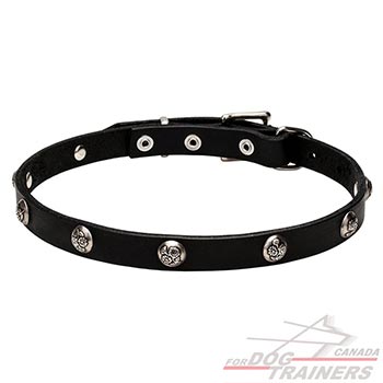 Full grain natural leather dog collar with studs
