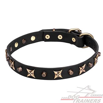 Durable leather dog collar with bronze plated decorations