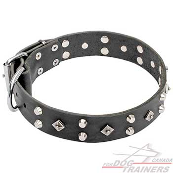 Leather Dog Collar with Studs