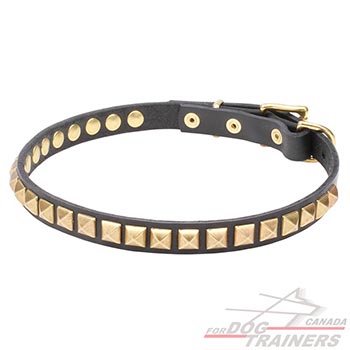 Natural leather dog collar with studs