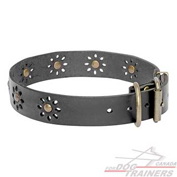 Beautiful Leather Dog Collar for Walking
