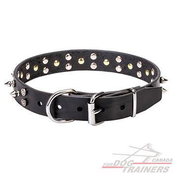 Reliable leather dog collar