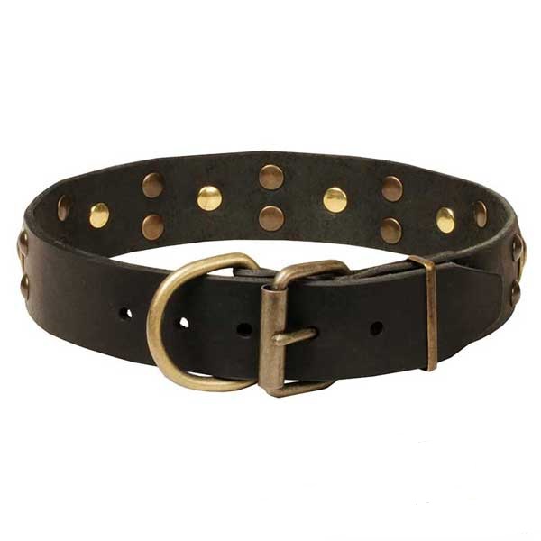 Brass Hardware on Leather Dog Walking Collar