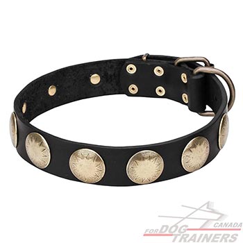 Walking Leather Dog Collar with Decorations