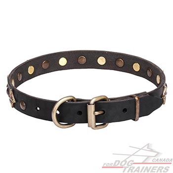 Leather Pet Collar with Bronze-plated Hardware